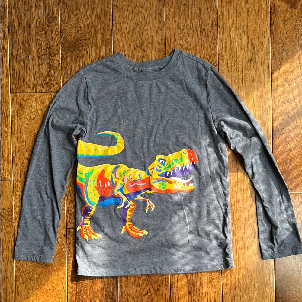 Cat & Jack Gray Long Sleeve Tee with Dinosaur Graphic